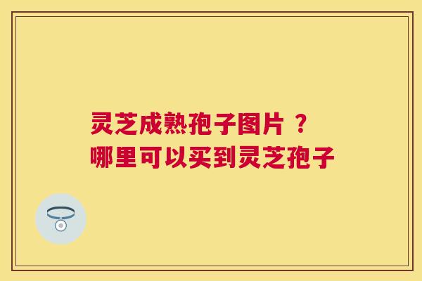灵芝成熟孢子图片 ?哪里可以买到灵芝孢子 灵芝成熟孢子图片 ?哪里可以买到灵芝孢子
