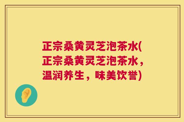 正宗桑黄灵芝泡茶水(正宗桑黄灵芝泡茶水，温润养生，味美饮誉)
