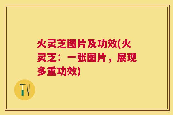 火灵芝图片及功效(火灵芝:一张图片,展现多重功效) 火灵芝图片及功效(火灵芝:一张图片,展现多重功效)