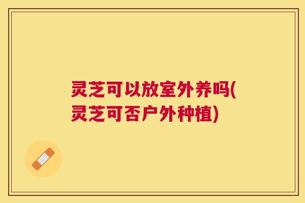 灵芝可以放室外养吗(灵芝可否户外种植) 灵芝可以放室外养吗(灵芝可否户外种植)