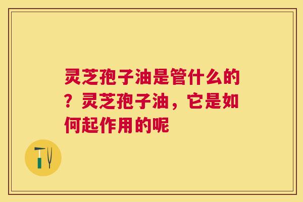 灵芝孢子油是管什么的？灵芝孢子油，它是如何起作用的呢