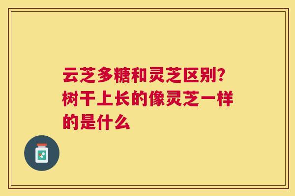云芝多糖和灵芝区别?树干上长的像灵芝一样的是什么 云芝多糖和灵芝区别?树干上长的像灵芝一样的是什么