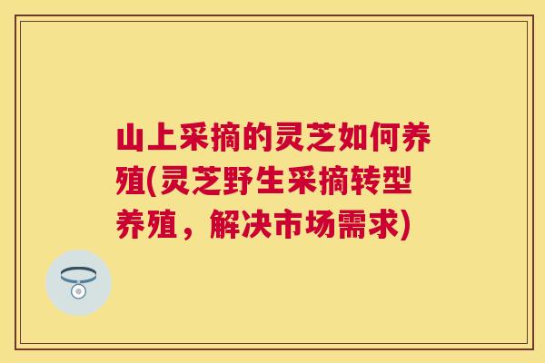 山上采摘的灵芝如何养殖(灵芝野生采摘转型养殖，解决市场需求)