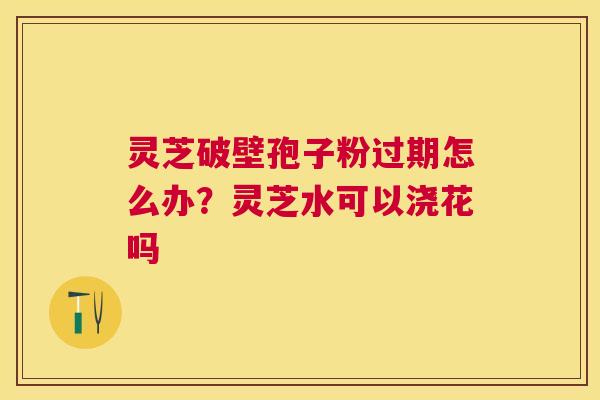灵芝破壁孢子粉过期怎么办?灵芝水可以浇花吗 灵芝破壁孢子粉过期怎么办?灵芝水可以浇花吗