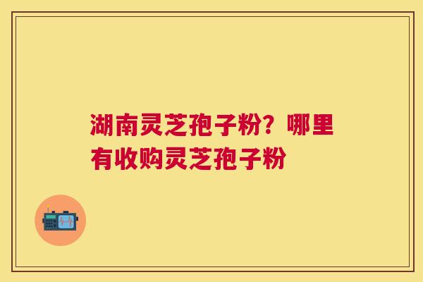 湖南灵芝孢子粉？哪里有收购灵芝孢子粉