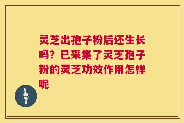 灵芝出孢子粉后还生长吗?已采集了灵芝孢子粉的灵芝功效作用怎样呢 灵芝出孢子粉后还生长吗?已采集了灵芝孢子粉的灵芝功效作用怎样呢