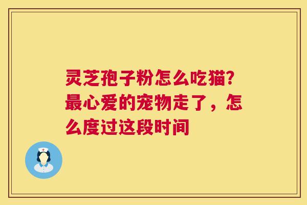 灵芝孢子粉怎么吃猫？心爱的宠物走了，怎么度过这段时间