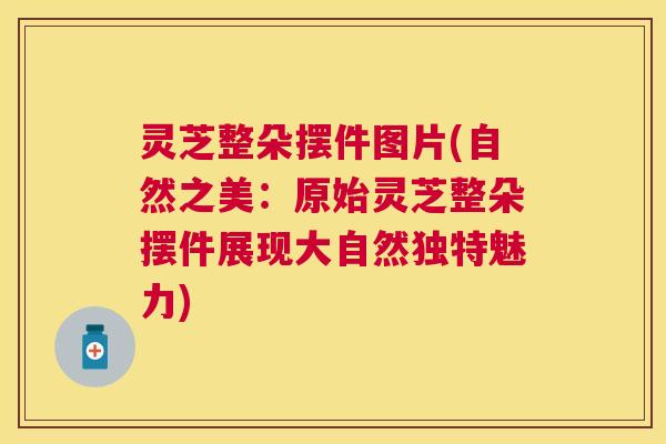 灵芝整朵摆件图片(自然之美:原始灵芝整朵摆件展现大自然独特魅力) 灵芝整朵摆件图片(自然之美:原始灵芝整朵摆件展现大自然独特魅力)