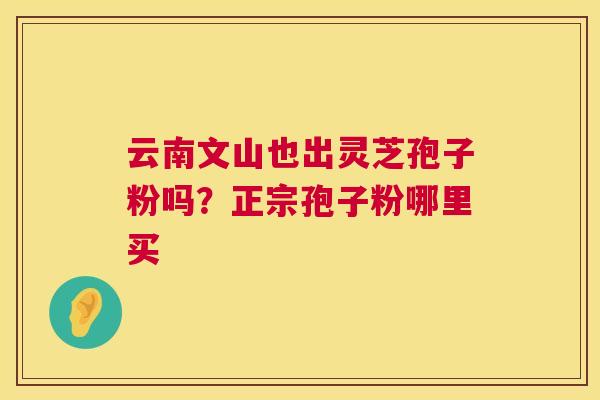 云南文山也出灵芝孢子粉吗？正宗孢子粉哪里买