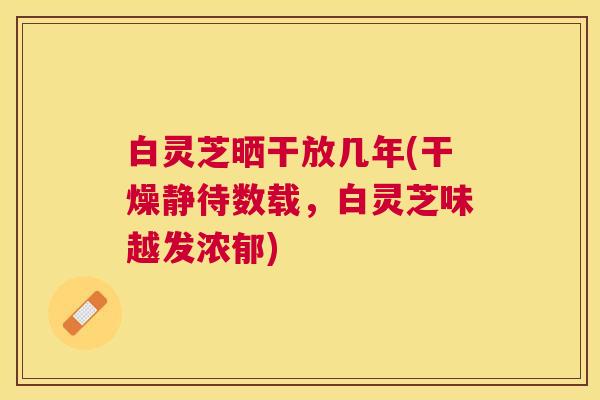 白灵芝晒干放几年(干燥静待数载,白灵芝味越发浓郁) 白灵芝晒干放几年(干燥静待数载,白灵芝味越发浓郁)