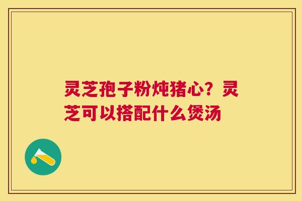 灵芝孢子粉炖猪心?灵芝可以搭配什么煲汤 灵芝孢子粉炖猪心?灵芝可以搭配什么煲汤
