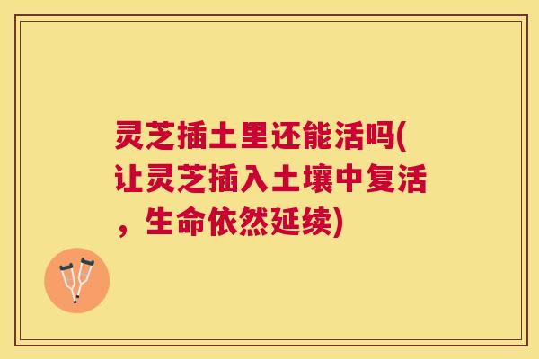 灵芝插土里还能活吗(让灵芝插入土壤中复活,生命依然延续) 灵芝插土里还能活吗(让灵芝插入土壤中复活,生命依然延续)