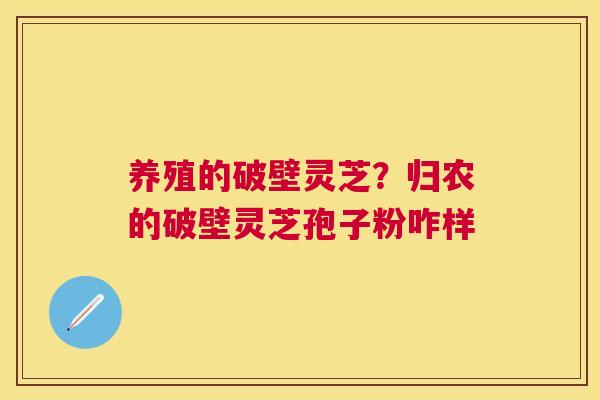 养殖的破壁灵芝?归农的破壁灵芝孢子粉咋样 养殖的破壁灵芝?归农的破壁灵芝孢子粉咋样
