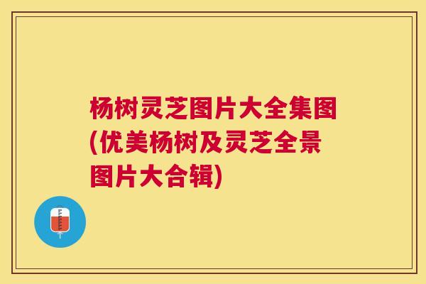 杨树灵芝图片大全集图(优美杨树及灵芝全景图片大合辑)