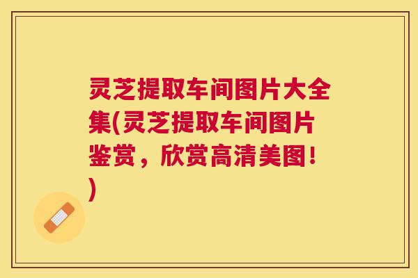 灵芝提取车间图片大全集(灵芝提取车间图片鉴赏,欣赏高清美图!) 灵芝提取车间图片大全集(灵芝提取车间图片鉴赏,欣赏高清美图!)