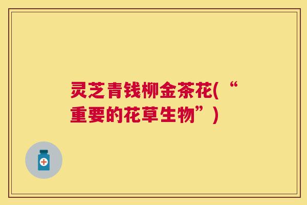 灵芝青钱柳金茶花(“重要的花草生物”)