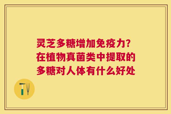 灵芝多糖增加免疫力？在植物真菌类中提取的多糖对人体有什么好处