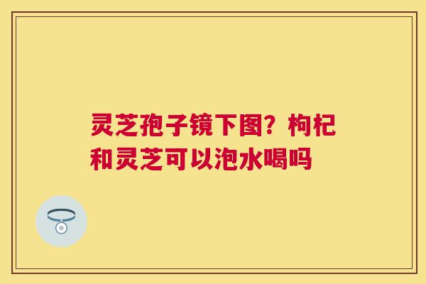 灵芝孢子镜下图？枸杞和灵芝可以泡水喝吗