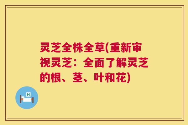 灵芝全株全草(重新审视灵芝:全面了解灵芝的根、茎、叶和花) 灵芝全株全草(重新审视灵芝:全面了解灵芝的根、茎、叶和花)