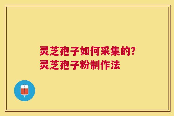 灵芝孢子如何采集的？灵芝孢子粉制作法