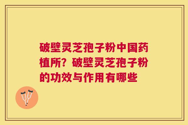 破壁灵芝孢子粉中国药植所？破壁灵芝孢子粉的功效与作用有哪些