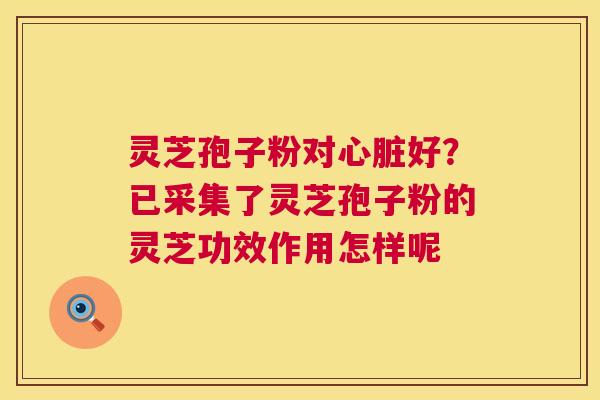 灵芝孢子粉对好？已采集了灵芝孢子粉的灵芝功效作用怎样呢
