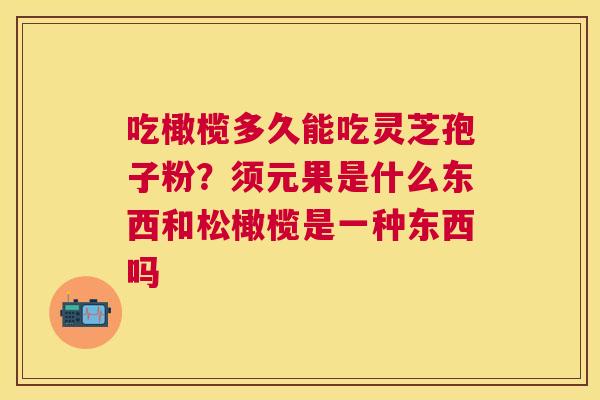 吃橄榄多久能吃灵芝孢子粉？须元果是什么东西和松橄榄是一种东西吗