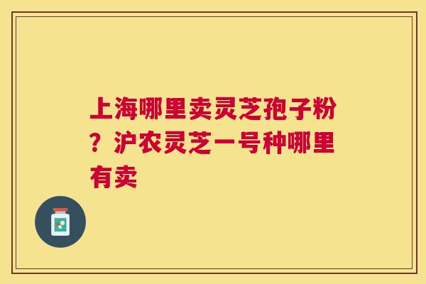 上海哪里卖灵芝孢子粉？沪农灵芝一号种哪里有卖