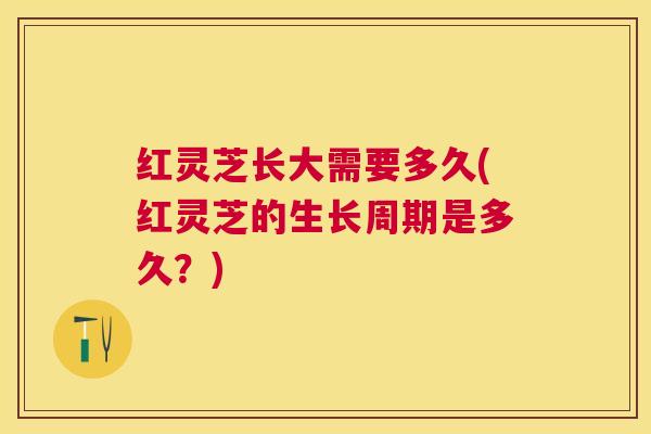 红灵芝长大需要多久(红灵芝的生长周期是多久?) 红灵芝长大需要多久(红灵芝的生长周期是多久?)