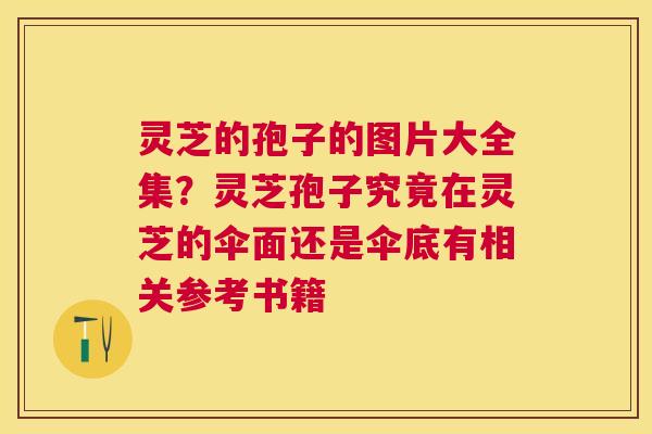 灵芝的孢子的图片大全集?灵芝孢子究竟在灵芝的伞面还是伞底有相关参考书籍 灵芝的孢子的图片大全集?灵芝孢子究竟在灵芝的伞面还是伞底有相关参考书籍