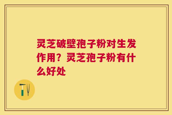 灵芝破壁孢子粉对生发作用？灵芝孢子粉有什么好处