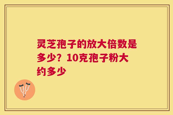 灵芝孢子的放大倍数是多少？10克孢子粉大约多少