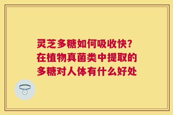 灵芝多糖如何吸收快？在植物真菌类中提取的多糖对人体有什么好处