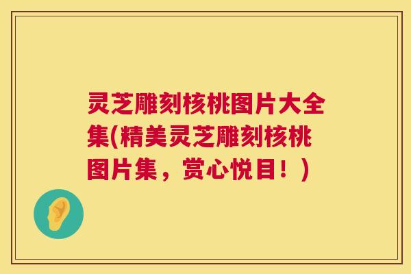 灵芝雕刻核桃图片大全集(精美灵芝雕刻核桃图片集,赏心悦目!) 灵芝雕刻核桃图片大全集(精美灵芝雕刻核桃图片集,赏心悦目!)