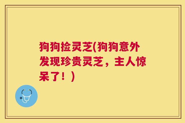 狗狗捡灵芝(狗狗意外发现珍贵灵芝，主人惊呆了！)