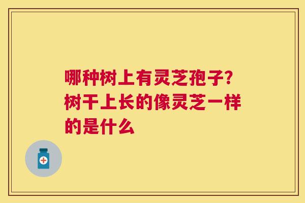 哪种树上有灵芝孢子?树干上长的像灵芝一样的是什么 哪种树上有灵芝孢子?树干上长的像灵芝一样的是什么