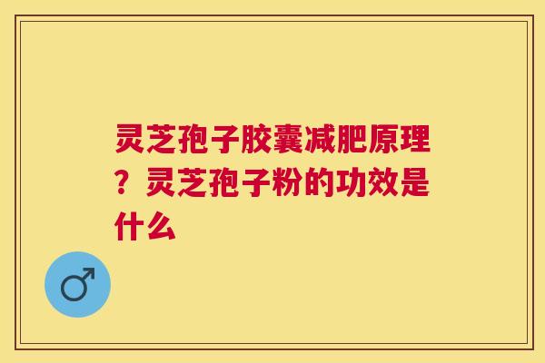灵芝孢子胶囊原理?灵芝孢子粉的功效是什么 灵芝孢子胶囊原理?灵芝孢子粉的功效是什么