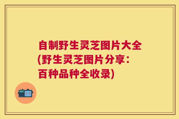 自制野生灵芝图片大全(野生灵芝图片分享:百种品种全收录) 自制野生灵芝图片大全(野生灵芝图片分享:百种品种全收录)