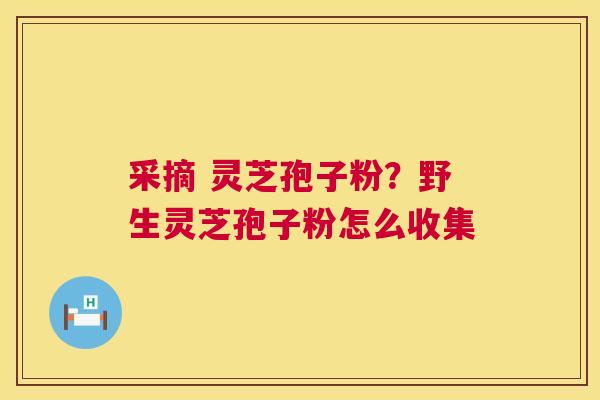 采摘 灵芝孢子粉？野生灵芝孢子粉怎么收集
