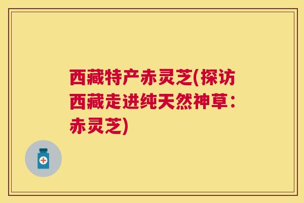 西藏特产赤灵芝(探访西藏走进纯天然神草:赤灵芝) 西藏特产赤灵芝(探访西藏走进纯天然神草:赤灵芝)