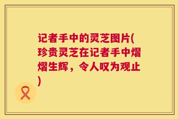 记者手中的灵芝图片(珍贵灵芝在记者手中熠熠生辉，令人叹为观止)