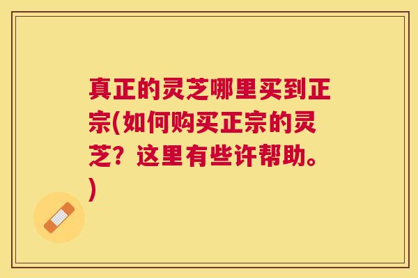 真正的灵芝哪里买到正宗(如何购买正宗的灵芝?这里有些许帮助。) 真正的灵芝哪里买到正宗(如何购买正宗的灵芝?这里有些许帮助。)
