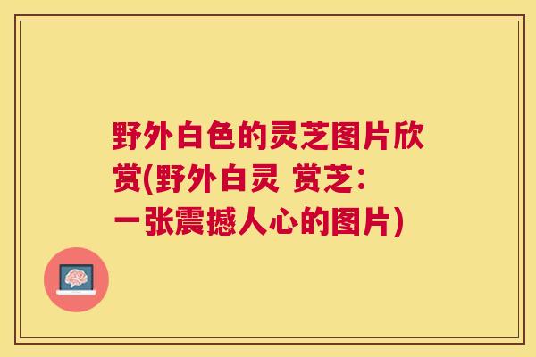 野外白色的灵芝图片欣赏(野外白灵 赏芝：一张震撼人心的图片)