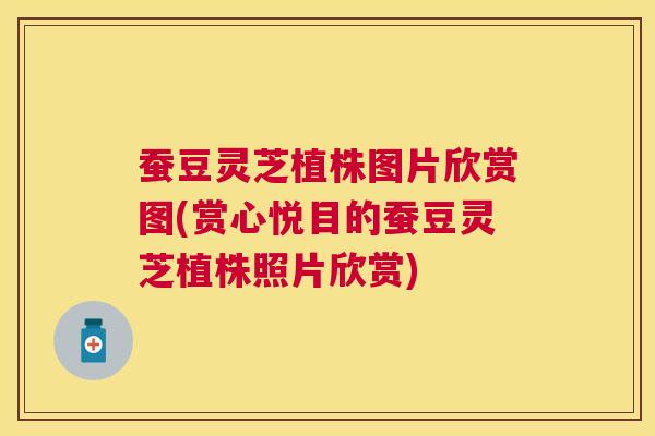 蚕豆灵芝植株图片欣赏图(赏心悦目的蚕豆灵芝植株照片欣赏)