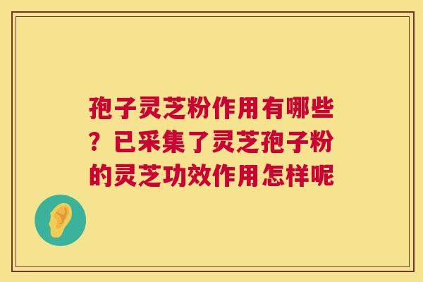 孢子灵芝粉作用有哪些？已采集了灵芝孢子粉的灵芝功效作用怎样呢
