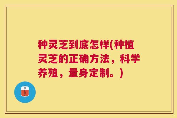 种灵芝到底怎样(种植灵芝的正确方法，科学养殖，量身定制。)