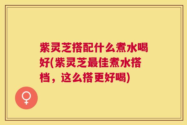 紫灵芝搭配什么煮水喝好(紫灵芝佳煮水搭档，这么搭更好喝)
