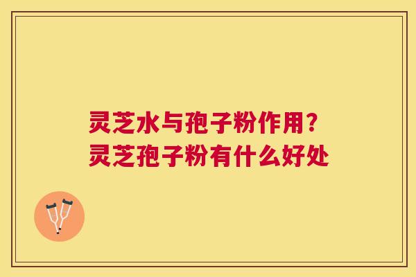 灵芝水与孢子粉作用?灵芝孢子粉有什么好处 灵芝水与孢子粉作用?灵芝孢子粉有什么好处
