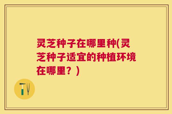 灵芝种子在哪里种(灵芝种子适宜的种植环境在哪里?) 灵芝种子在哪里种(灵芝种子适宜的种植环境在哪里?)