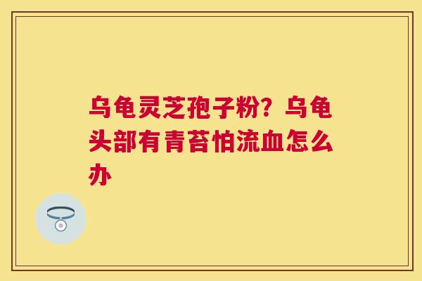 乌龟灵芝孢子粉?乌龟头部有青苔怕流怎么办 乌龟灵芝孢子粉?乌龟头部有青苔怕流怎么办